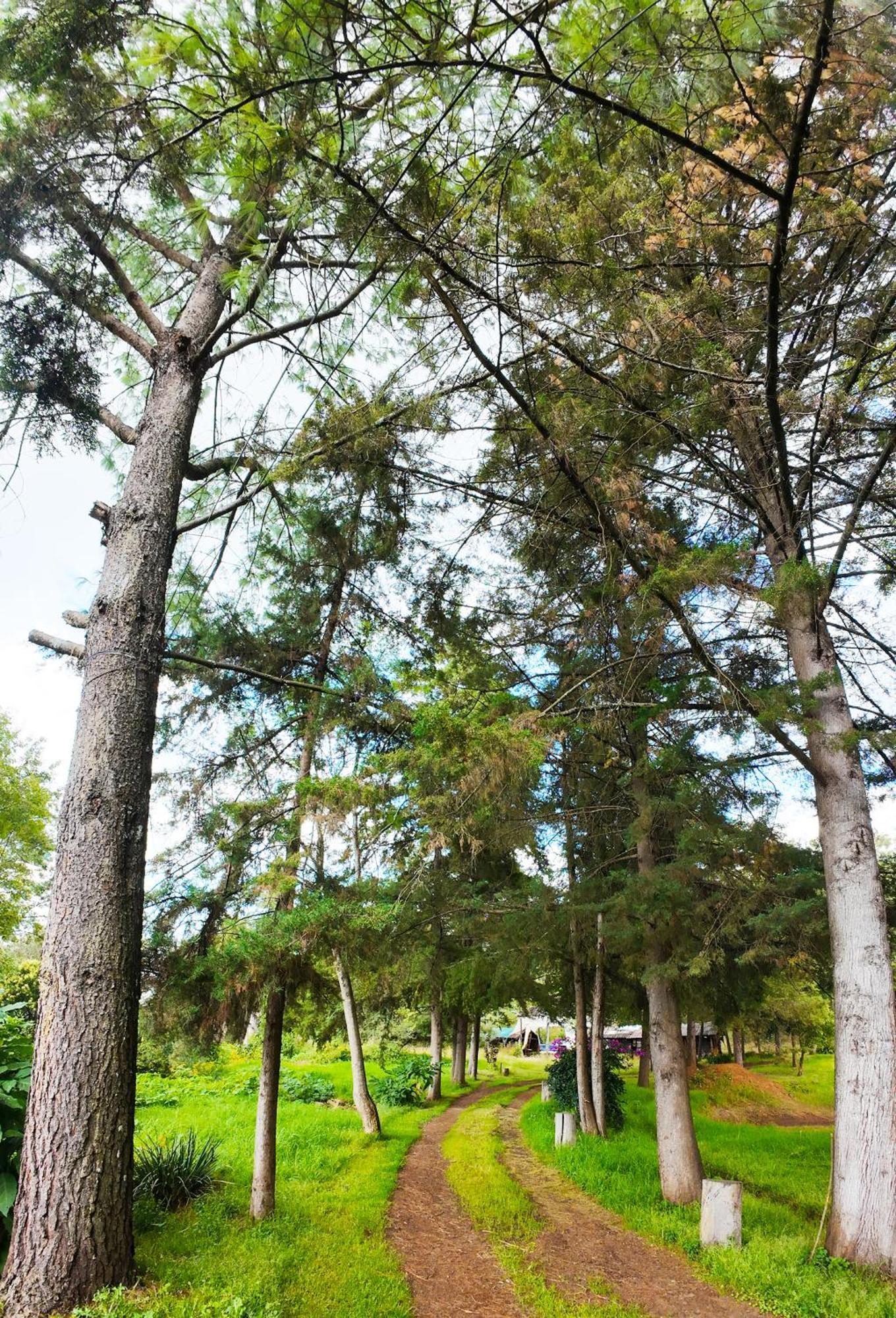 Villa Patzcuaro Garden Hotel Zewnętrze zdjęcie